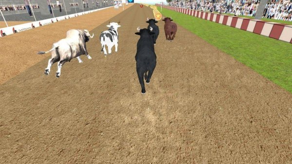 Angry Bull Racing Online Game