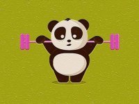 Exotic Animals Puzzle Time Online Game