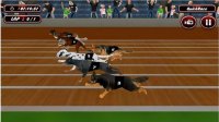 Real Dog Racing Simulator Game 2020 Online