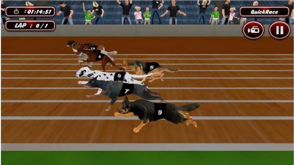 Real Dog Racing Simulator Game 2020 Online