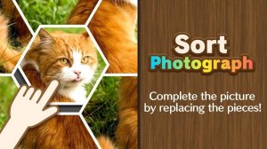 Sort Photograph: Puzzle Game