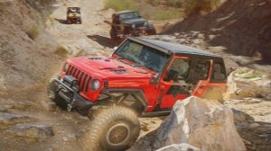 Wilderness Transport Simulation