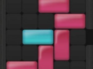 Tile Path Puzzle