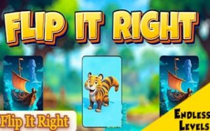 Recall Grid: Image Pairing Challenge