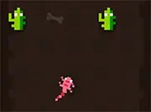 Desert Dash Lizard Run