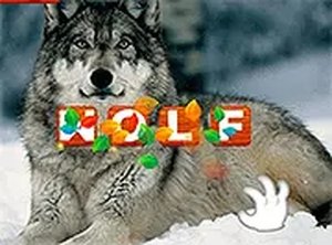 Wildlife Word Puzzle for Kids