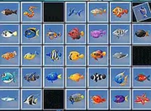 Find the Fish Puzzle Game