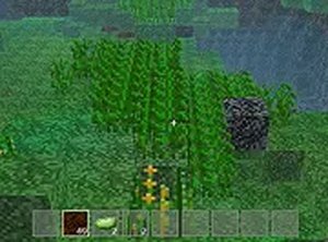 Minecraft Online Game