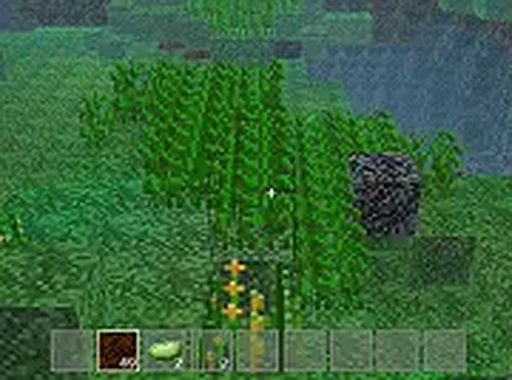 Minecraft Online Game